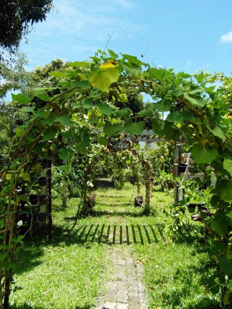 stockvault-garden-path-archway144534