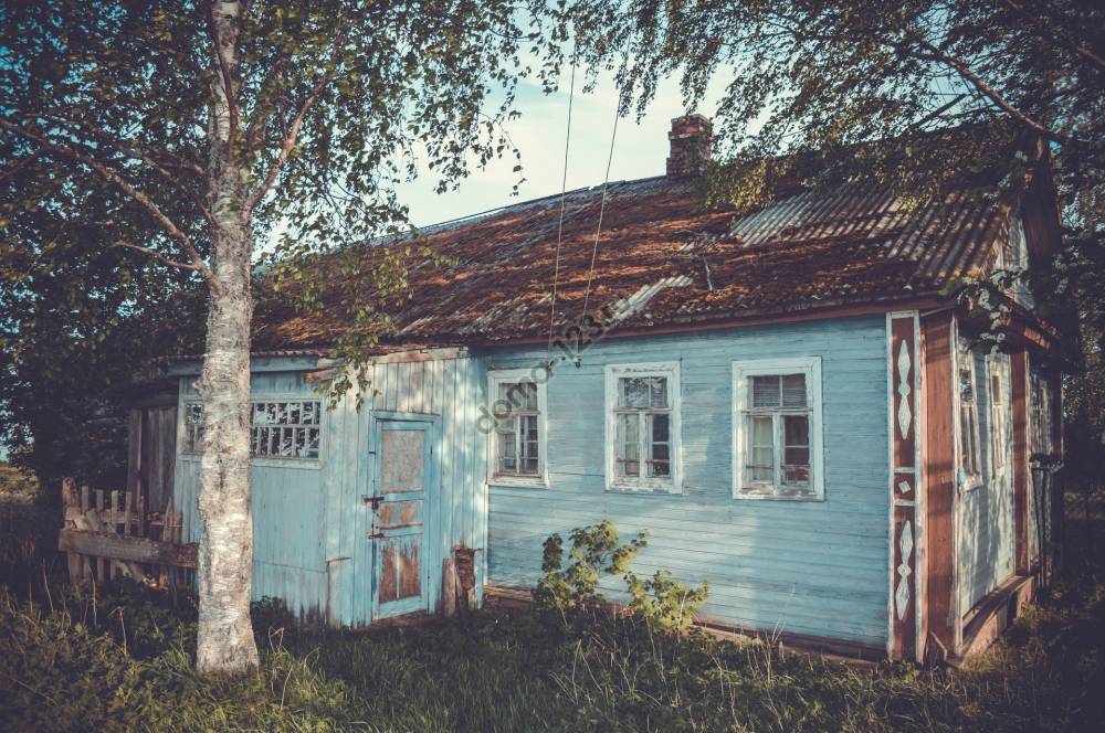 photo-of-teal-wooden-cottage-under-trees-1565309