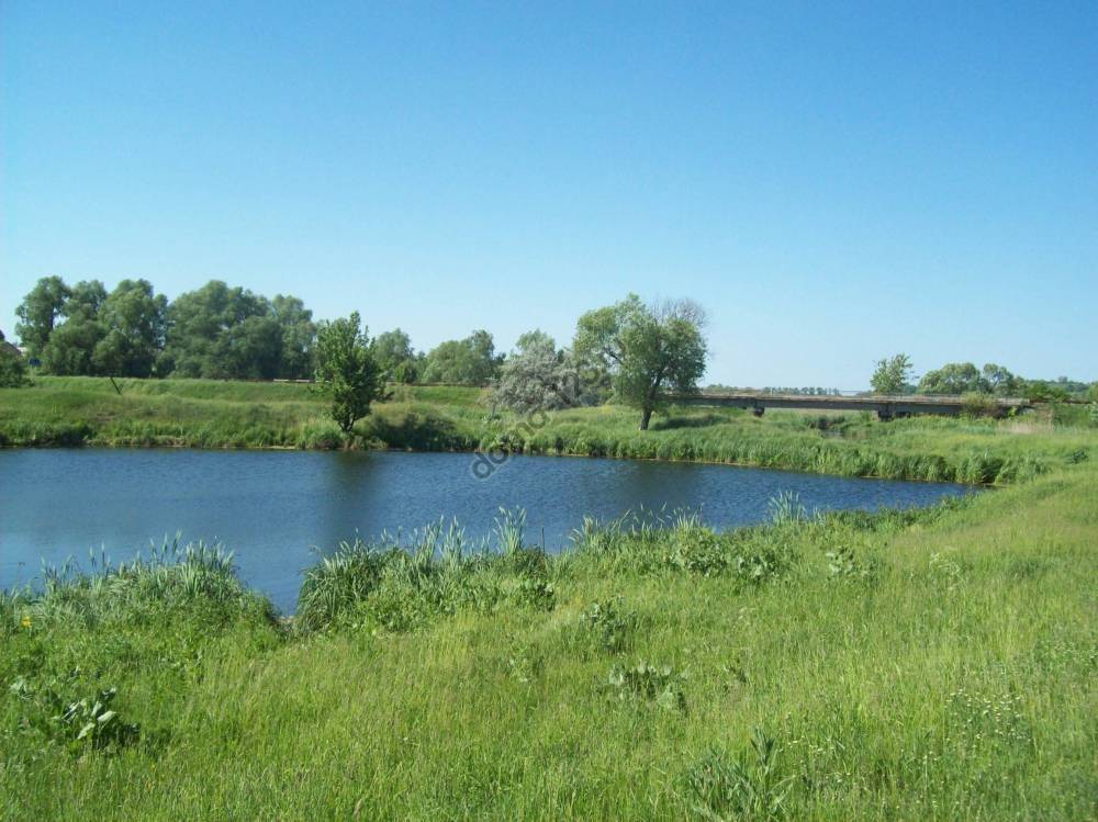 stockvault-river-and-lakes-in-the-countryside250139