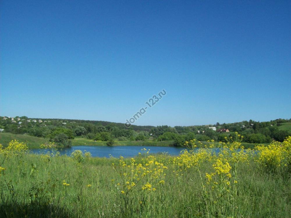 stockvault-river-and-lakes-in-the-countryside250144