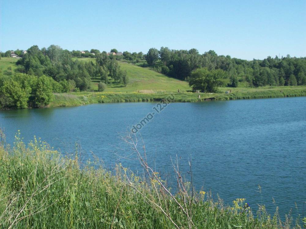 stockvault-river-and-lakes-in-the-countryside250161