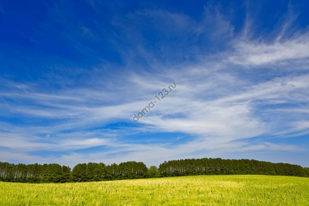 stockvault-wye-island-sky-field-eco-harmony-hdr180325