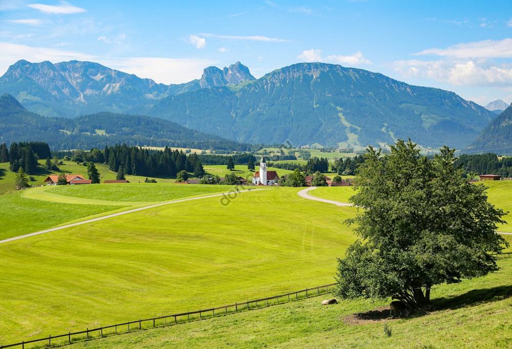 green-trees-on-green-fields-161097