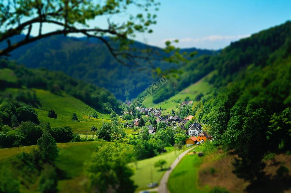 house-surrounded-by-trees-and-mountains-1196121