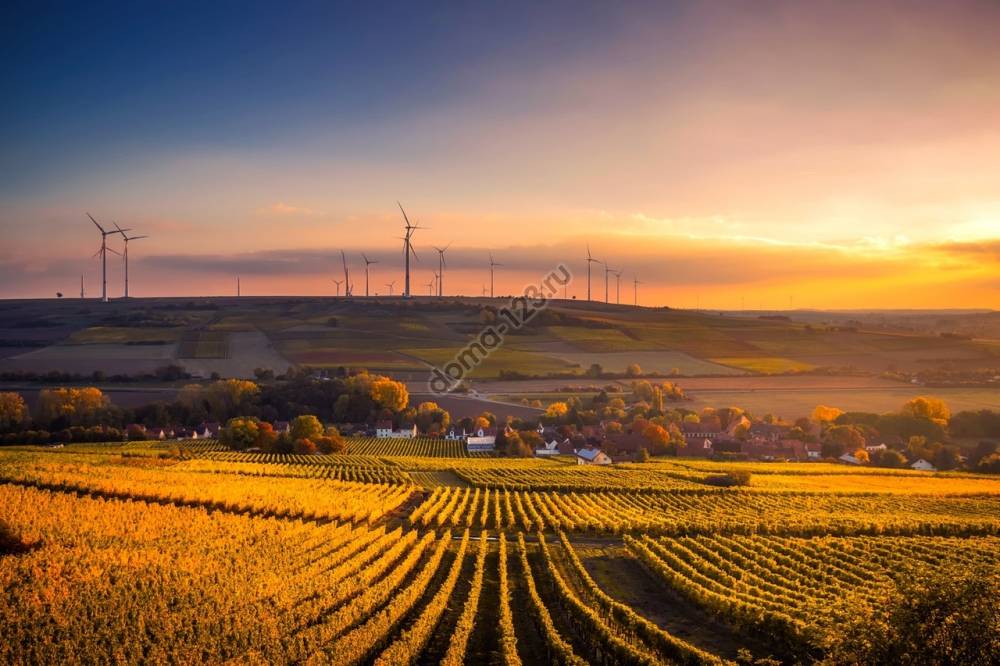 scenic-view-of-agricultural-field-against-sky-during-sunset-325944